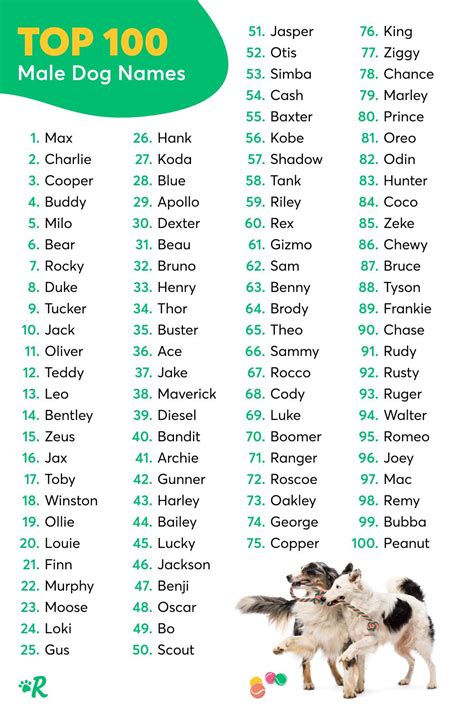 Top Ten Male Dog Names