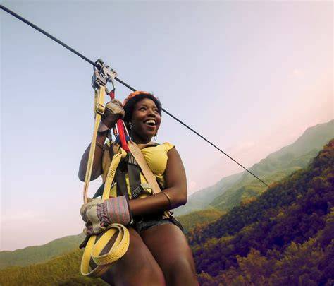 Top Zip Line Tour Businesses