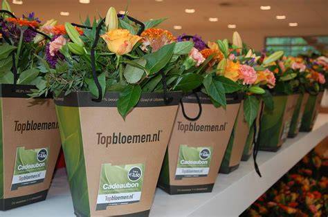 Topbloemen Meppel