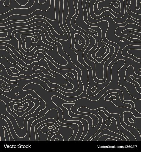 Topographic Map Pattern