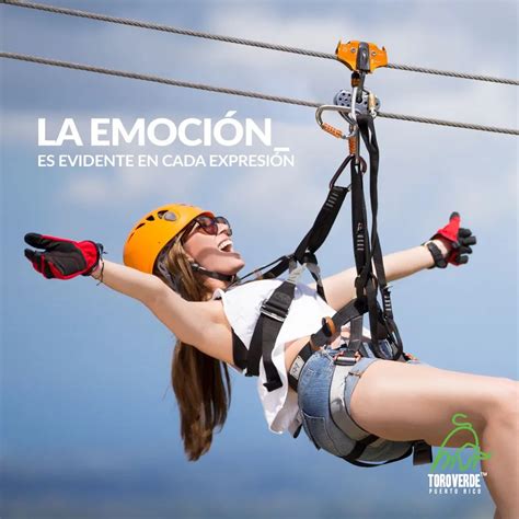 Toro Verde transportation