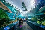 Toronto Aquarium Tour