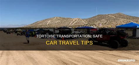 Tortoise Sanctuaries Transportation