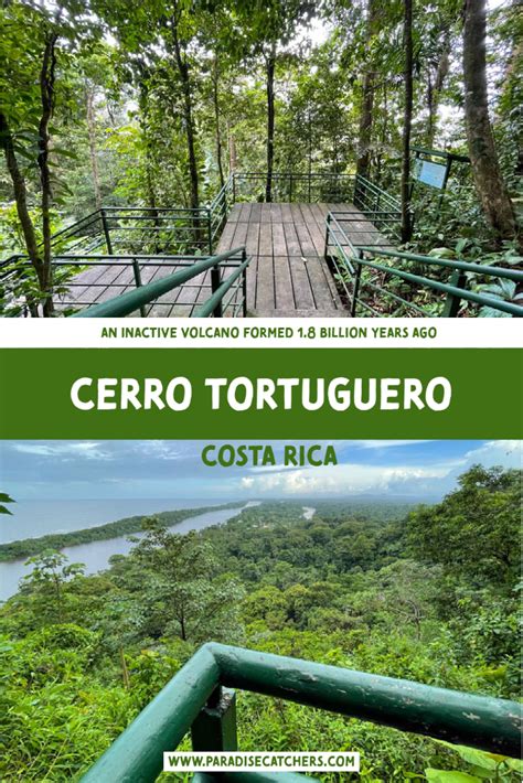 Tortuguero Hiking Tour: An Inactive Volcano Adventure (Review)
