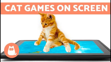 Touch Screen Games For Cats CAT GAMES ★ FAST DRAGONFLY HUNT on screen