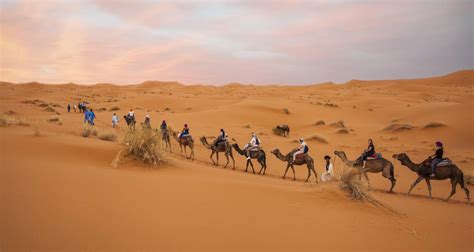 Tour Operator Desert Adventure
