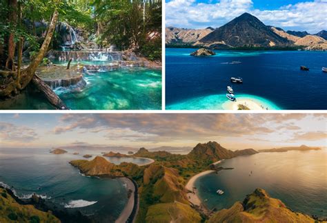 Tour Operator Komodo
