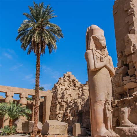 Tour Operator Luxor