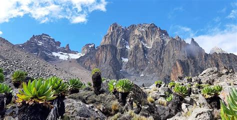 Tour Operator Mount Kenya