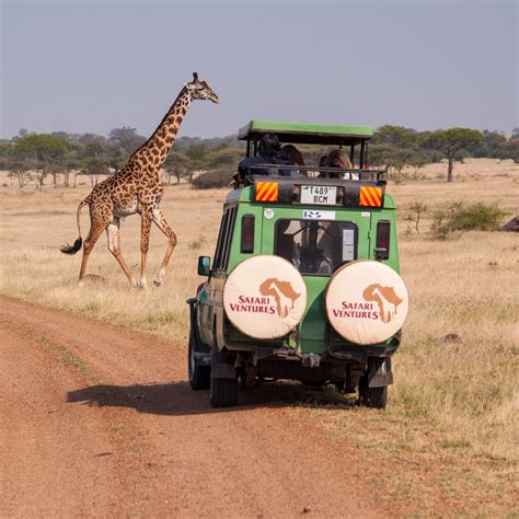 Tour Operator Safari