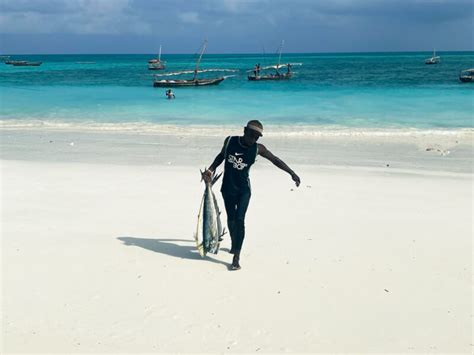 Tour Operator Zanzibar