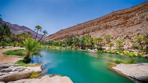 Tour Operators in Oman