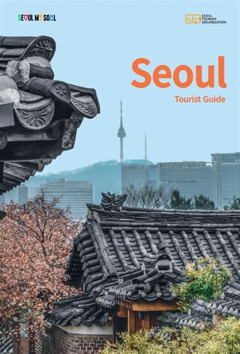 Tourist Comparing Guidebook and Building