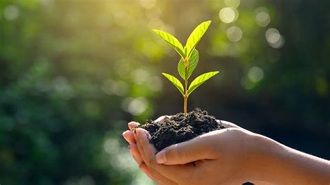 Towards self sustenance