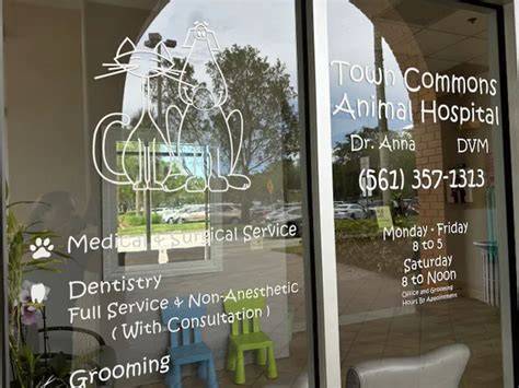 Expert Pet Care Services with Town Commons Animal Hospital - Top Vet Clinic for Your Furry Friends