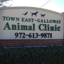 Expert Veterinary Care at Town East Animal Clinic Galloway - Your Trusted Partner for Pet Health Services