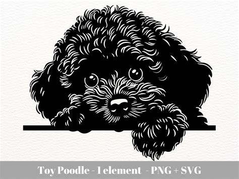 Unleash Your Creativity with the Adorable Toy Poodle SVG: Paw-some Designs for All Your Crafting Needs!