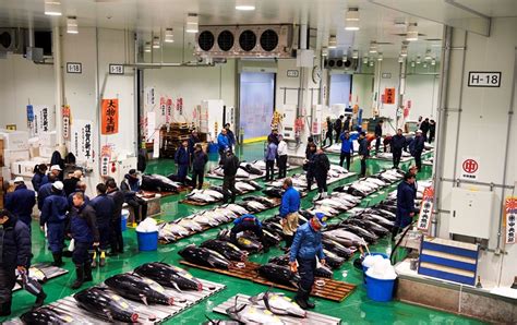 Toyosu Fish Market