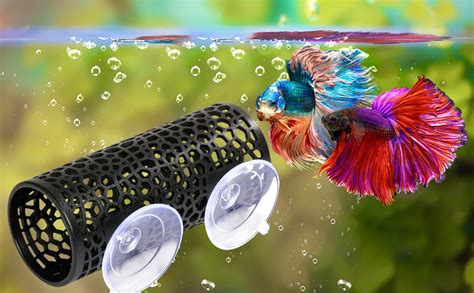 Toys For Betta Fish