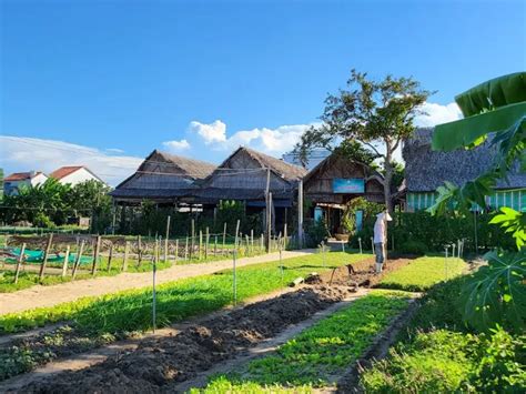Tra Que Village farming