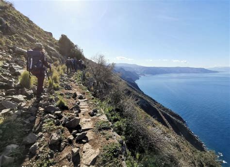 Tracciolino Trail Views