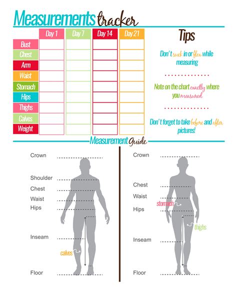 Body Measurement Tracking Chart Layout Blank Weight Loss Chart Stock