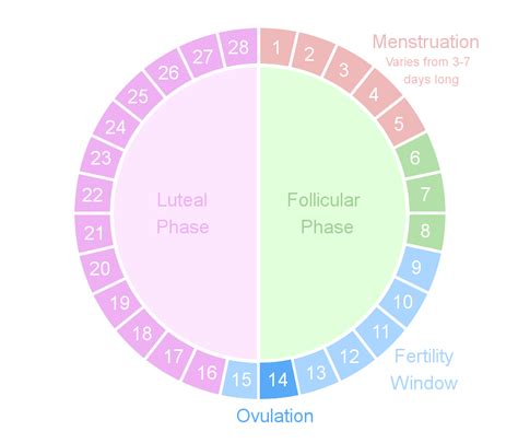 Track Fertility & Plan Pregnancy Easily.