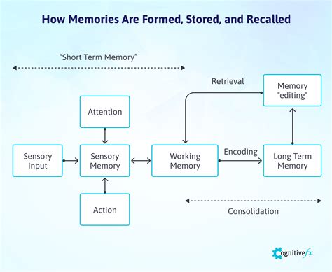 Tracking Memory Loss