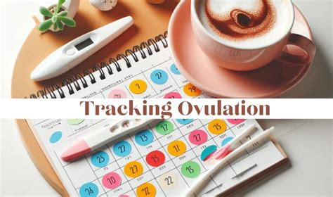 Tracking Ovulation: Why Timing is Everything