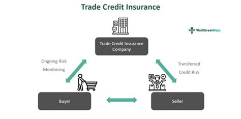 The trade credit insurance process (1) Insure 247