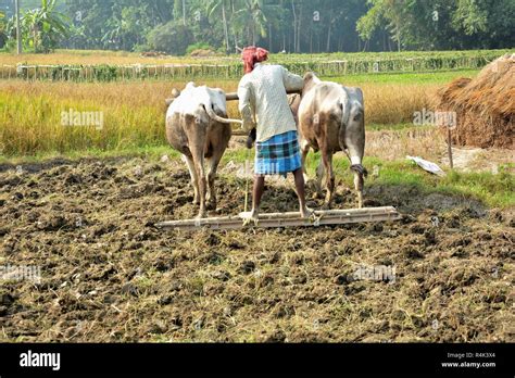 Traditional Farming Methods Vietnam