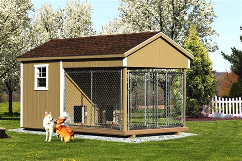 Traditional Kennels: What to Expect