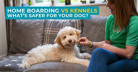 Traditional Kennels vs. Home-Based Boarding