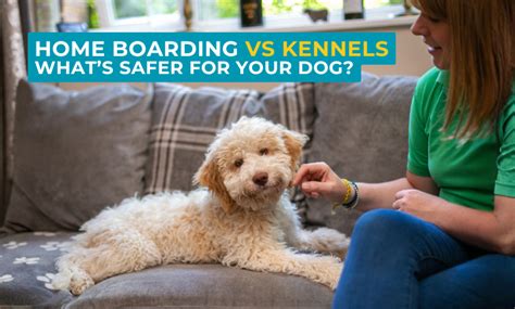 Traditional Kennels vs. Home-Based Sitters