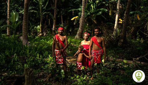 Traditional Land Use Practices and Stewardship, Subheading 1: A Tapestry of Diversity