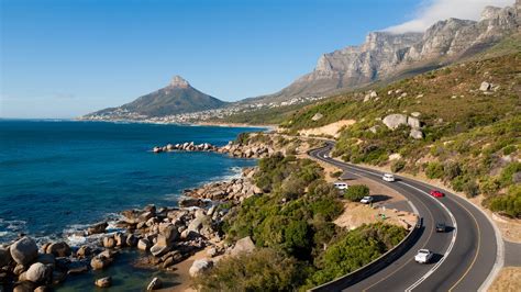 Traditional Routes: Local & Specialty Printers