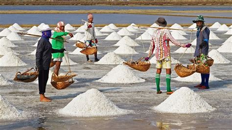 Traditional Salt Harvesting