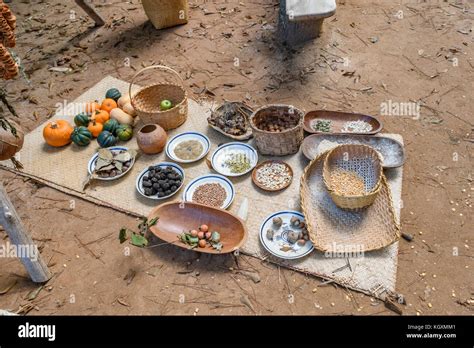 Traditional Tribal Food Sources