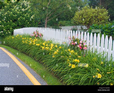 Traditional White Fence