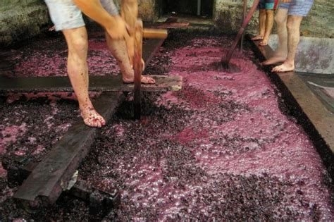 Traditional Wine Making