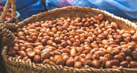 Traditional Methods vs. Modern Blends: Decoding the Potency