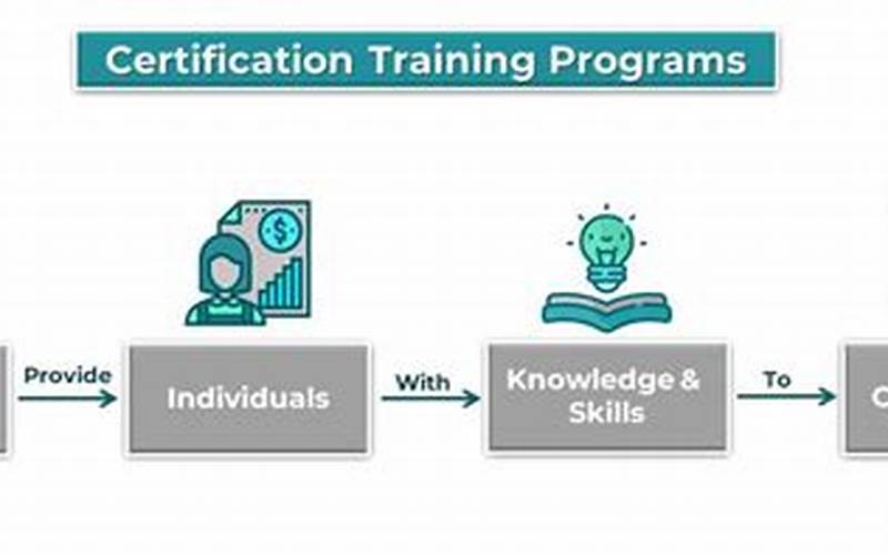 Training And Certification Programs