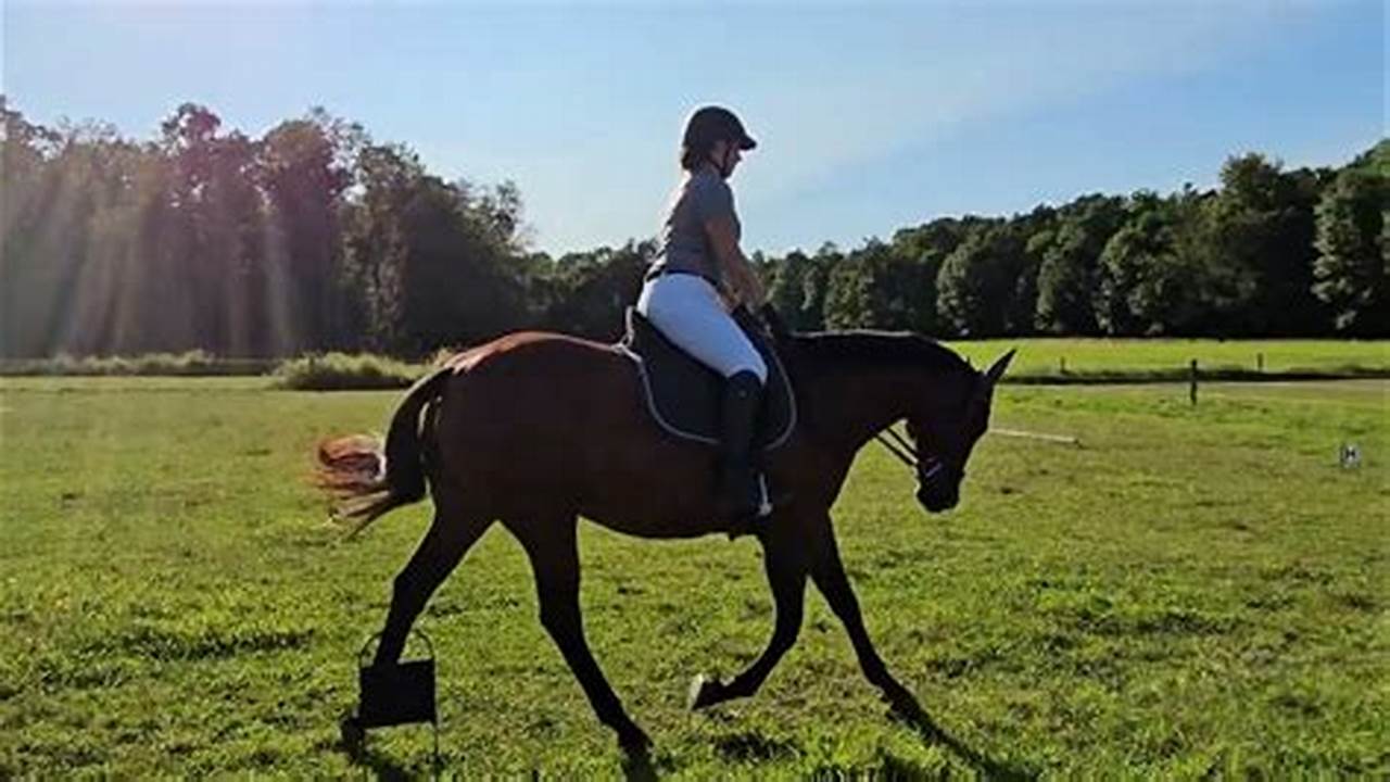 Training Level Test 1 2024