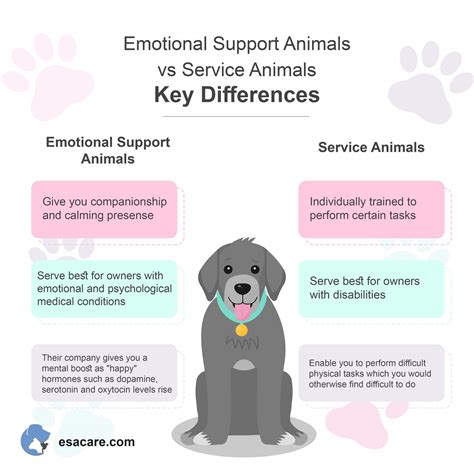 Training Tasks vs. Emotional Support