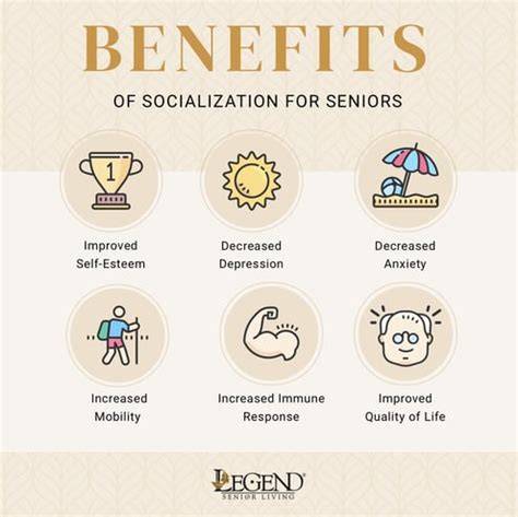 Training and Socialization Benefits