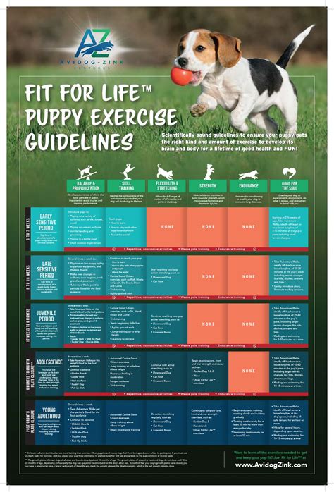 [Infographic] How Much Exercise Does a Specific Dog Breed Need? https