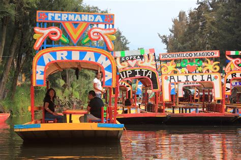 Trajinera Ride at Dawn