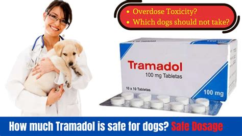 Tramadol Dog Dosage Chart