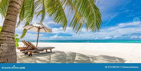 Tranquil Beach Scene
