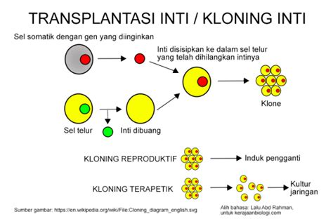 Transfer Inti: Teknologi yang Bermanfaat untuk Memindahkan Energi